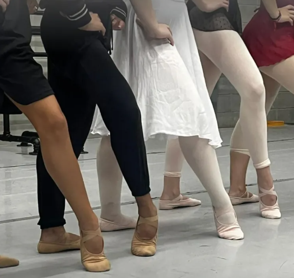 Corpo maduro dança? 6 corpo maduro cisne negro